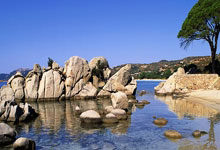 转会期突围战来临；法兰克福围绕社区盾完成体检；目标明确；轮换策略成焦点(德国法兰克福简介)